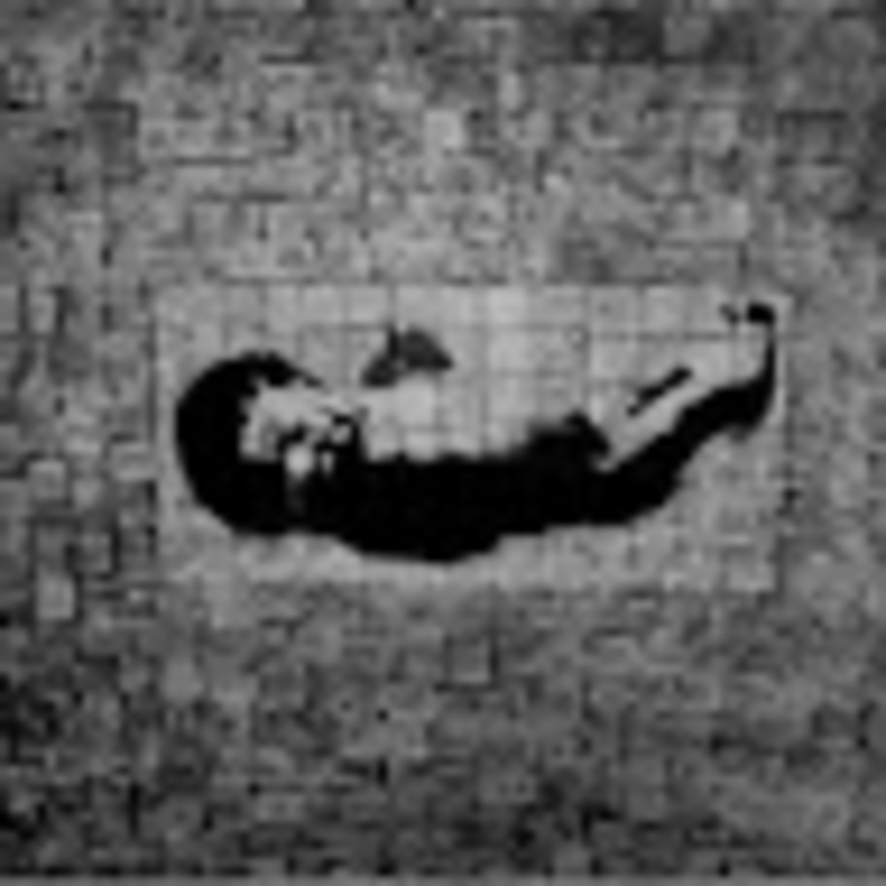 Meet your Posher, Cinthia